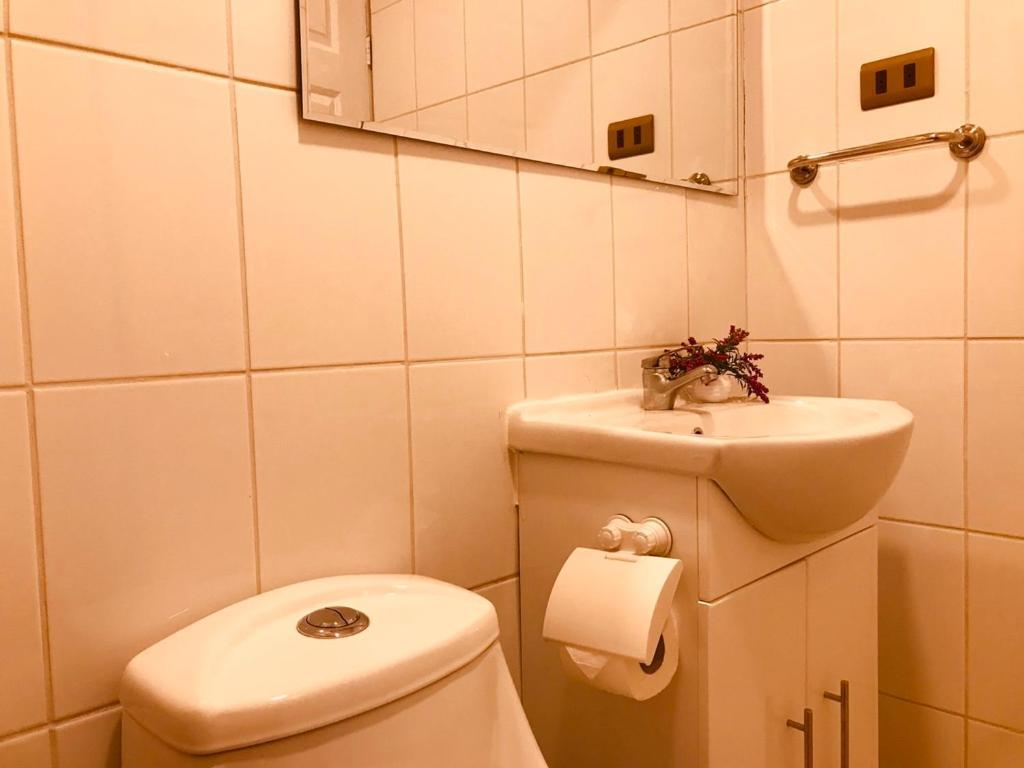 Apart Hotel Don Domingo Temuco Dış mekan fotoğraf